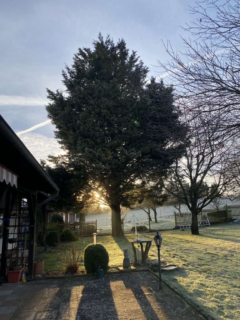 Baumpflege - Galabau Kaiser
